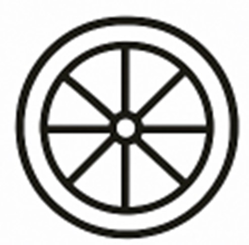میوه خشک